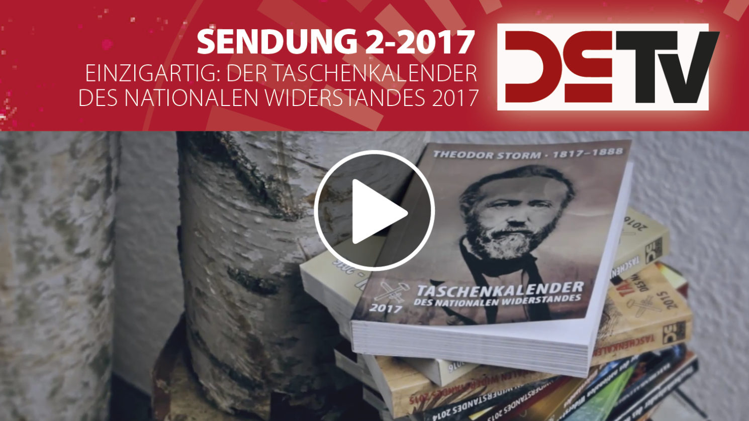 vorschaubild_dstv2-17